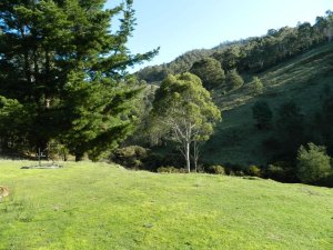Glenfern, New Norfolk