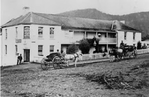 The Bush Inn Hotel