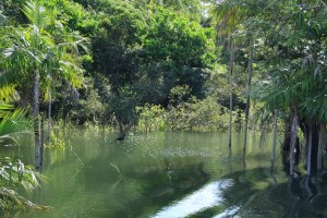 Santarem