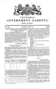 Immigration Remittances