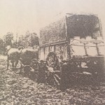 Cream cart that traveled between Warragul and the outlying farms collecting the produce. 