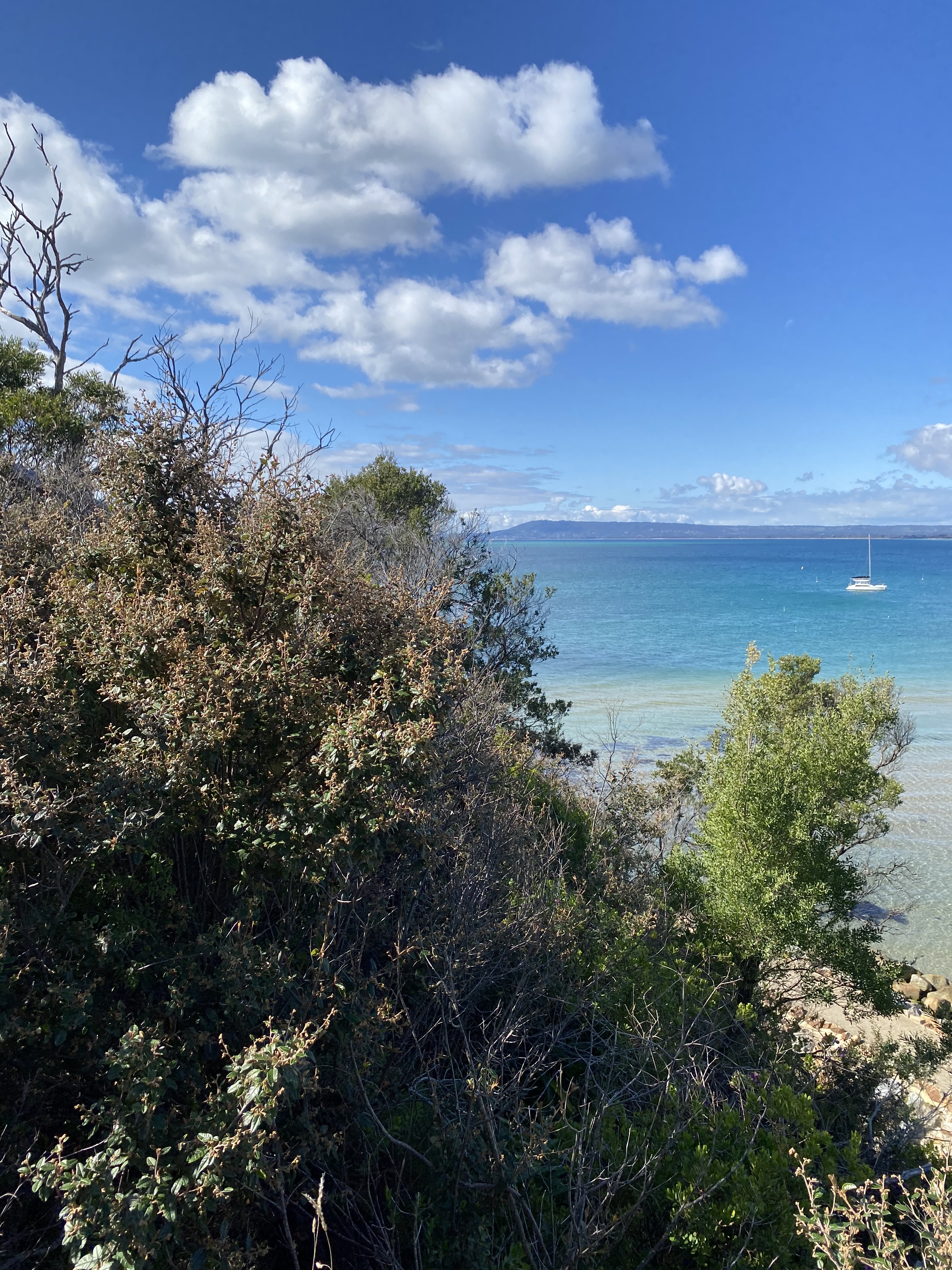 Sullivan's Bay Series 3. D. Caldere 2020