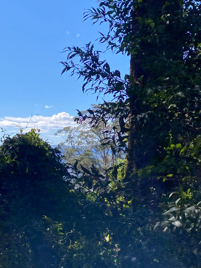 Cambewarra